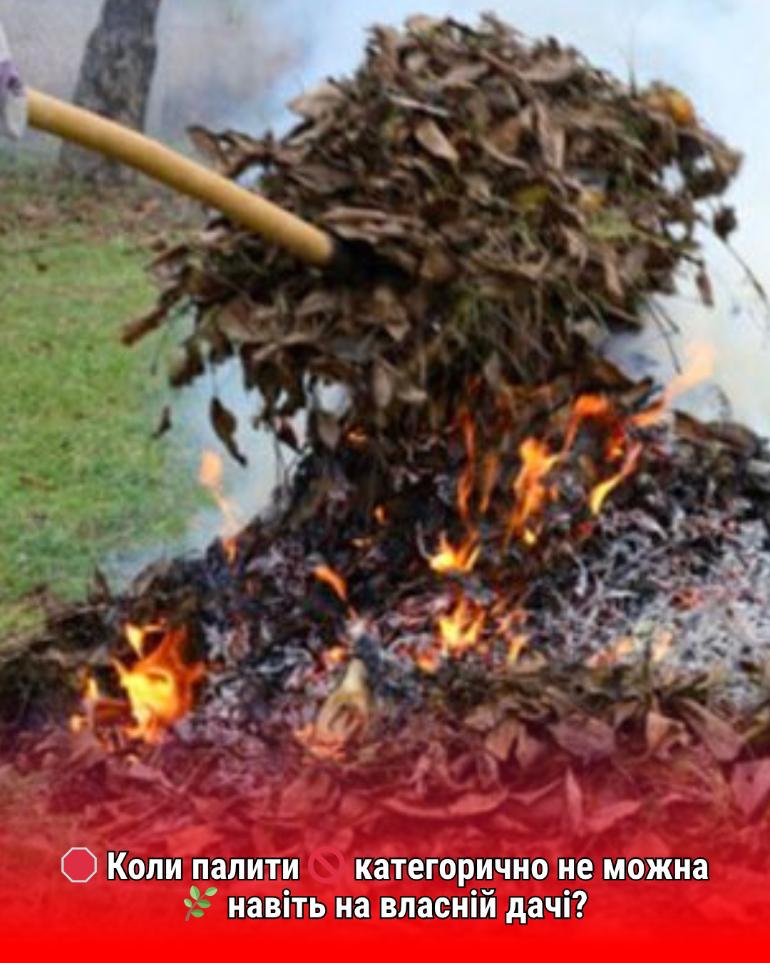Чи можна палити гілки та сміття на подвір’ї: в ДСНС розповіли, коли виписують штраф