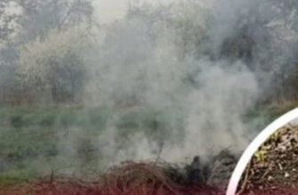 Що заборонено палити на городі та чи штрафують за це: в ДСНС відповіли жителям приватного сектору