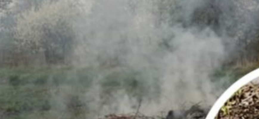 Що заборонено палити на городі та чи штрафують за це: в ДСНС відповіли жителям приватного сектору