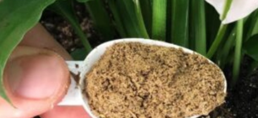 Розсипаю ось таке борошно навесні 2026 по грядках – замінює тонни гною: глина стала чорноземом Розсипаю ось таке борошно навесні 2026 по грядках – замінює тонни гною: глина стала чорноземом