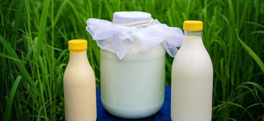Навіщо обприскувати розсаду розведеним молоком Навіщо обприскувати розсаду розведеним молоком
