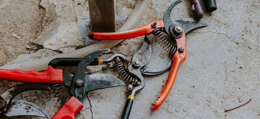 Не поспішайте з обрізанням: садівниця розкрила правило, від якого залежить доля вашого саду Не поспішайте з обрізанням: садівниця розкрила правило, від якого залежить доля вашого саду