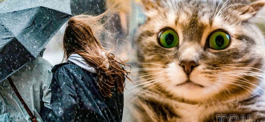 Не знімайте шапки: циклон поверне до України зиму, але ненадовго — прогноз синоптикині Не знімайте шапки: циклон поверне до України зиму, але ненадовго — прогноз синоптикині