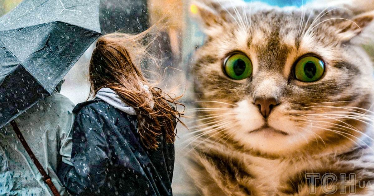 Погода в Україні Погода в Україні