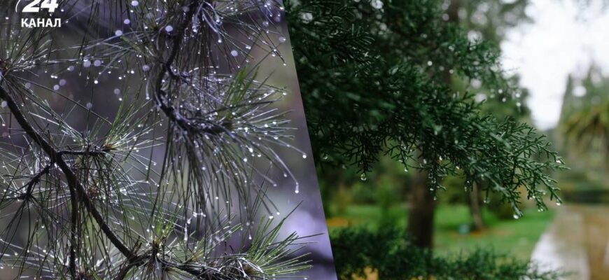 Нова хвиля дощів з мокрим снігом суне в Україну: синоптик назвав дату погіршення погоди Нова хвиля дощів з мокрим снігом суне в Україну: синоптик назвав дату погіршення погоди