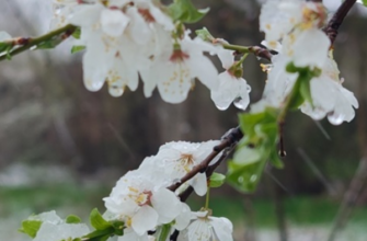 Новий удар від зими: Україну накриють морози до -18, озвучено небезпечні дні