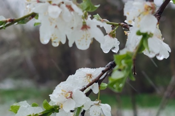 Новий удар від зими: Україну накриють морози до -18, озвучено небезпечні дні Новий удар від зими: Україну накриють морози до -18, озвучено небезпечні дні