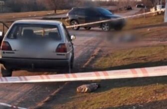 😰🕯O Господи, який жах: п’яний водій на смерть збив пішохідку