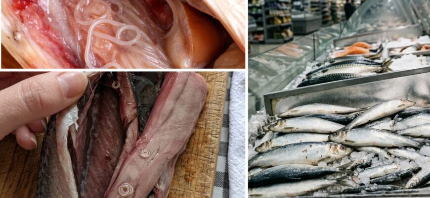 Тривожний дзвіночок: якщо побачили у нутрощах оселедця ось це, не ризикуйте – викидайте, і котам не давайте Тривожний дзвіночок: якщо побачили у нутрощах оселедця ось це, не ризикуйте – викидайте, і котам не давайте