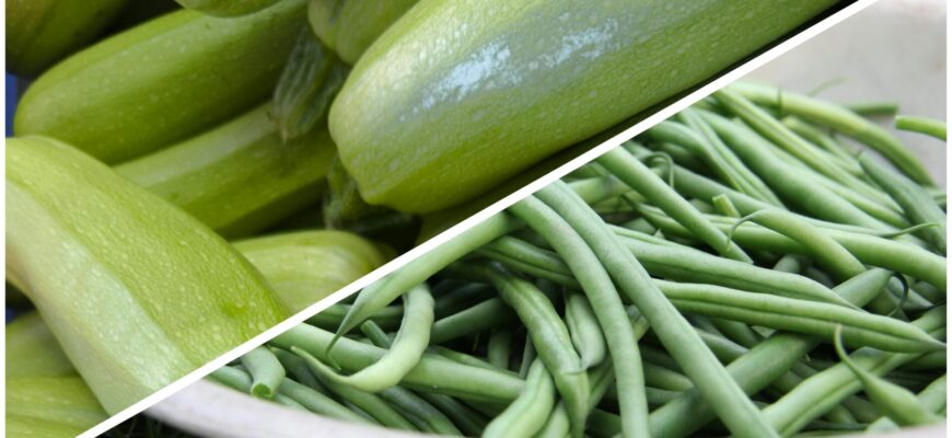 2 насіння для висадки у квітні: влітку вже будете мати рясний врожай, поки сусіди ще бігають поливати (ФОТО)