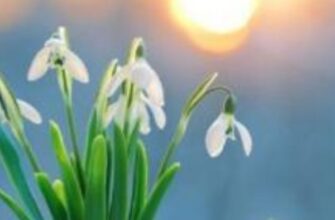 ‼️Погода готує сюрприз: українців шокували прогнозом