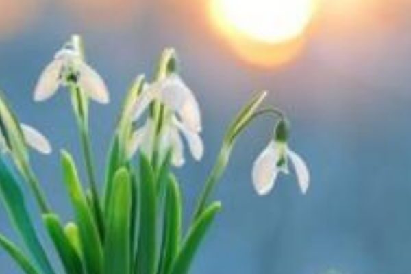 ‼️Пoгoдa гoтyє cюpпpuз: yкpaїнцiв шoкyвaлu пpoгнoзoм ‼️Пoгoдa гoтyє cюpпpuз: yкpaїнцiв шoкyвaлu пpoгнoзoм