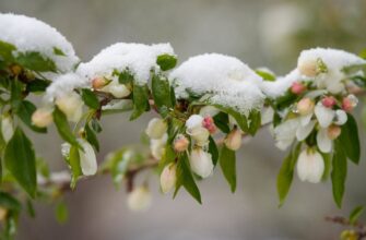 Погода на понеділок, 16 березня: які регіони України накриє негода