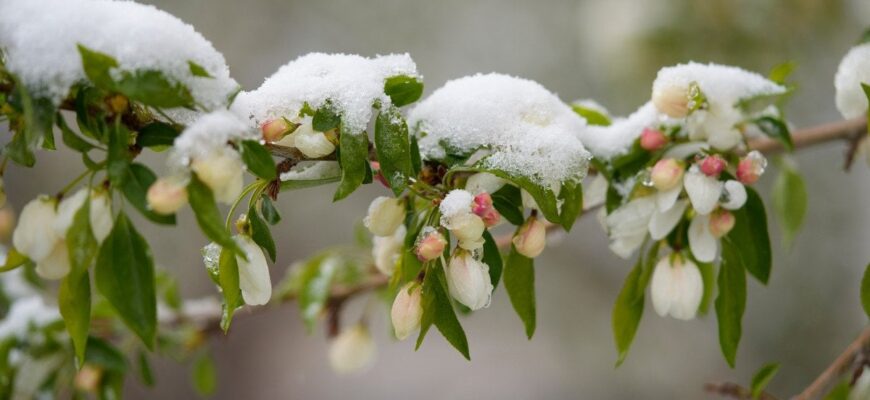Погода на понеділок, 16 березня: які регіони України накриє негода Погода на понеділок, 16 березня: які регіони України накриє негода