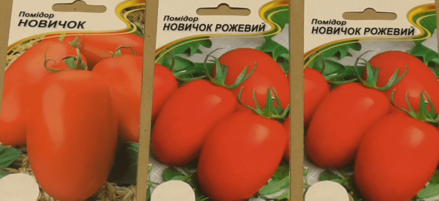 Ці 2 сорти томатів показали себе якнайкраще в 2025-му, тож садитиму їх цьогоріч: врожаю збираю “КАМАЗами” Ці 2 сорти томатів показали себе якнайкраще в 2025-му, тож садитиму їх цьогоріч: врожаю збираю “КАМАЗами”