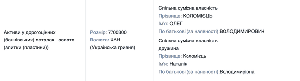 Працівник Бучанського ТЦК задекларував золоті злитки майже на 8 млн грн. / © Скріншот