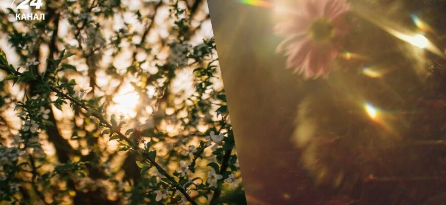 Повітря прогріється до +19: синоптикиня назвала найтепліші дні до кінця березня Повітря прогріється до +19: синоптикиня назвала найтепліші дні до кінця березня