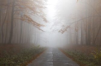 Що означає «мжичка» — значення слова в українській мові: ніколи не здогадаєтесь