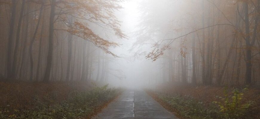 Що означає «мжичка» — значення слова в українській мові: ніколи не здогадаєтесь Що означає «мжичка» — значення слова в українській мові: ніколи не здогадаєтесь