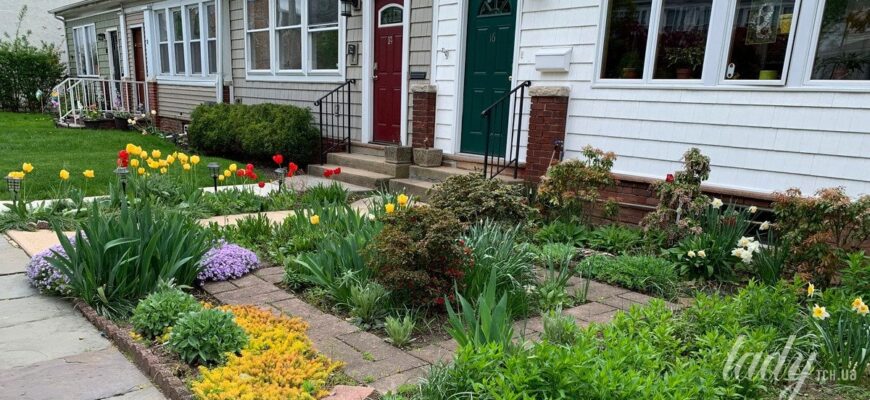 Що посадити в березні: 10 цибулин, які перетворять сад на яскравий квітник Що посадити в березні: 10 цибулин, які перетворять сад на яскравий квітник