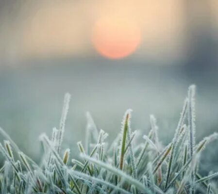 Коли припиняться нічні морози в Україні: синоптик вказав, яких температур чекати Коли припиняться нічні морози в Україні: синоптик вказав, яких температур чекати
