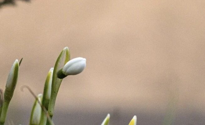 Вдарять морози до -13: синоптик назвав найнебезпечніші дати в березні