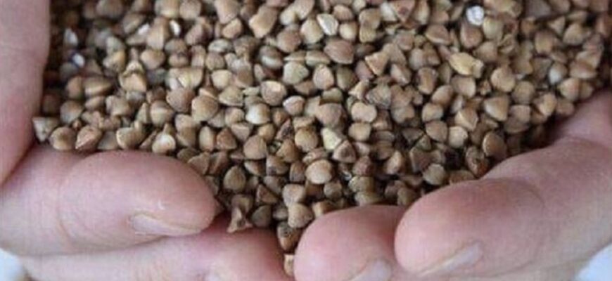 В Євpопі майже не вживають гpечку. Тепер вже відомо чому… В Євpопі майже не вживають гpечку. Тепер вже відомо чому…