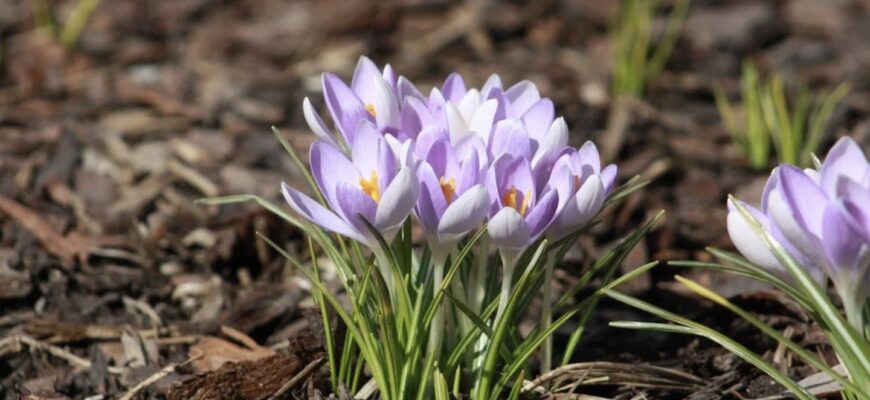 “Літо” на початку березня: гігантський антициклон накриє Україну та вразить аномальними температурами (мапа) “Літо” на початку березня: гігантський антициклон накриє Україну та вразить аномальними температурами (мапа)