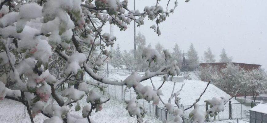 Чи буде сніг в Україні: синоптики дали чітку відповідь Чи буде сніг в Україні: синоптики дали чітку відповідь
