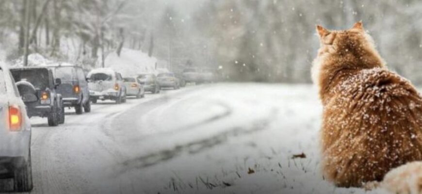 Весна скасовується: які області України опиняться під потужним штормовим ударом уже цими вихідними. Весна скасовується: які області України опиняться під потужним штормовим ударом уже цими вихідними.