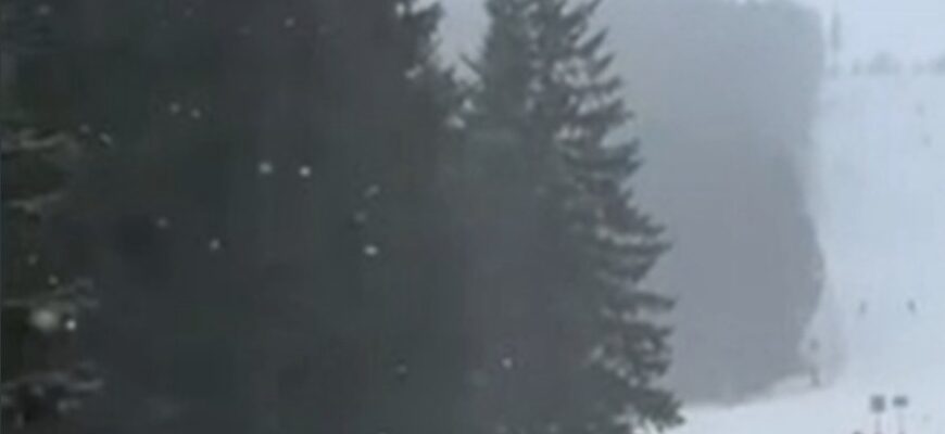 Сніг валить без перестану: яку область накрило з головою Сніг валить без перестану: яку область накрило з головою