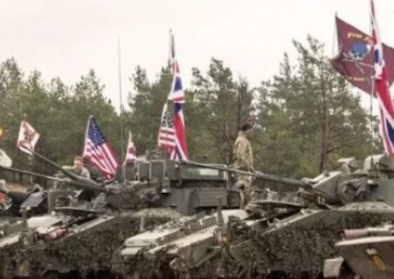 Трамп назвав НАТО “паперовим тигром” без США Трамп назвав НАТО “паперовим тигром” без США