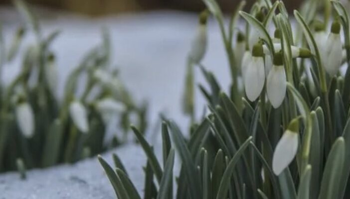 Україну розігріє до +18, а потім накриє снігом: коли погода різко зміниться Україну розігріє до +18, а потім накриє снігом: коли погода різко зміниться