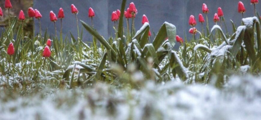 Погода в Україні шокує контрастом: прогноз на 23-29 березня Погода в Україні шокує контрастом: прогноз на 23-29 березня