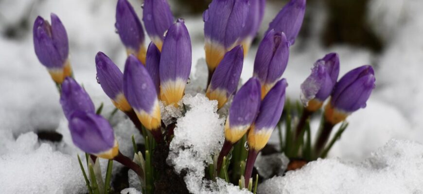 Україну накриє суттєве похолодання з дощами та мокрим снігом, – синоптик Україну накриє суттєве похолодання з дощами та мокрим снігом, – синоптик