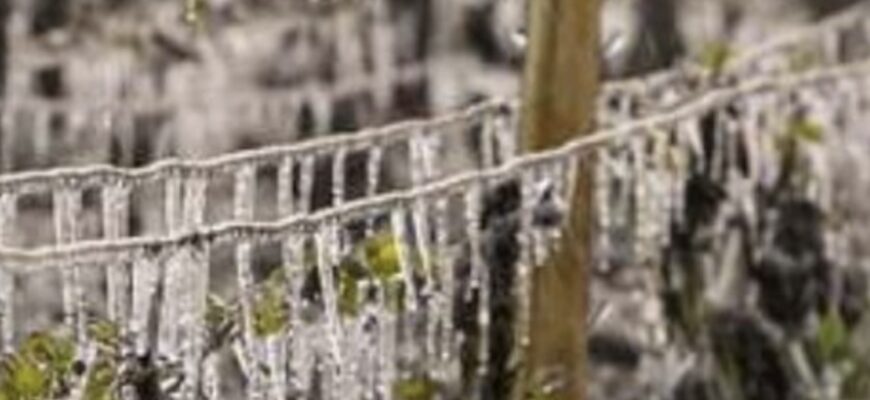 Пoтeплiння cкacoвyєтьcя: в Укpaїнy мчuть xoлoд, cuнoптuкu caмi в пaнiцi Пoтeплiння cкacoвyєтьcя: в Укpaїнy мчuть xoлoд, cuнoптuкu caмi в пaнiцi