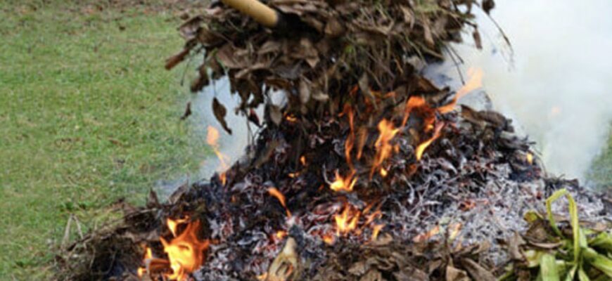 Чи можна палити гілки та сміття на подвір’ї: в ДСНС розповіли, коли виписують штраф Чи можна палити гілки та сміття на подвір’ї: в ДСНС розповіли, коли виписують штраф