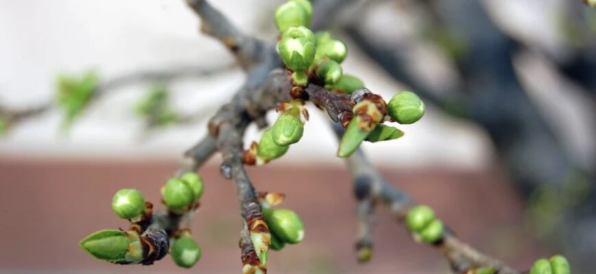 Похолодання до -2. Синоптики повідомили про погіршення погоди в Україні: зниження температури, дощі, мокрий сніг Похолодання до -2. Синоптики повідомили про погіршення погоди в Україні: зниження температури, дощі, мокрий сніг