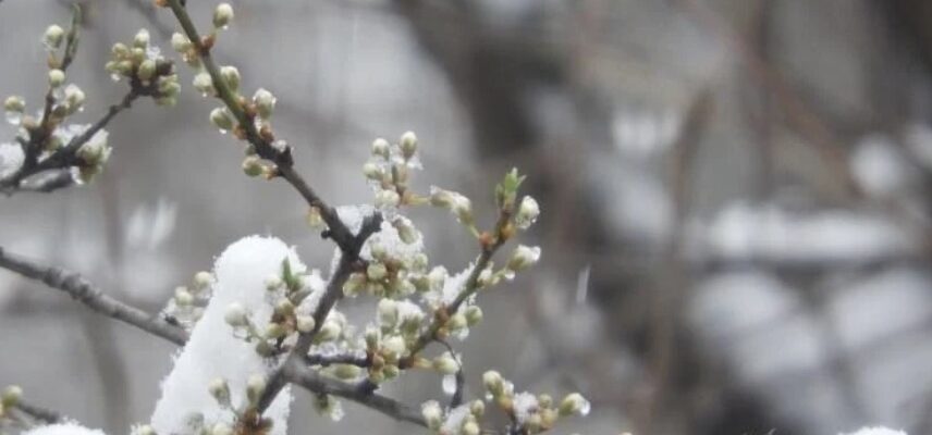 Циклон несе дощі та мокрий сніг: коли різко похолоднішає Циклон несе дощі та мокрий сніг: коли різко похолоднішає