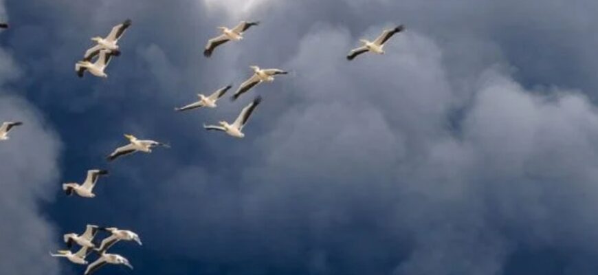 РФ атакувала “Кинджалами” одну з центральних областей України: лунають вибухи РФ атакувала “Кинджалами” одну з центральних областей України: лунають вибухи