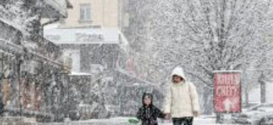 Весна не поспішає! Страшний мороз вдарить по Україні: назвали небезпечні дати Весна не поспішає! Страшний мороз вдарить по Україні: назвали небезпечні дати