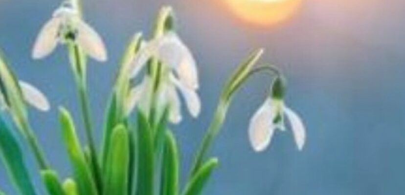 Погода готує сюрпризи: вдарить до +19 тепла Погода готує сюрпризи: вдарить до +19 тепла