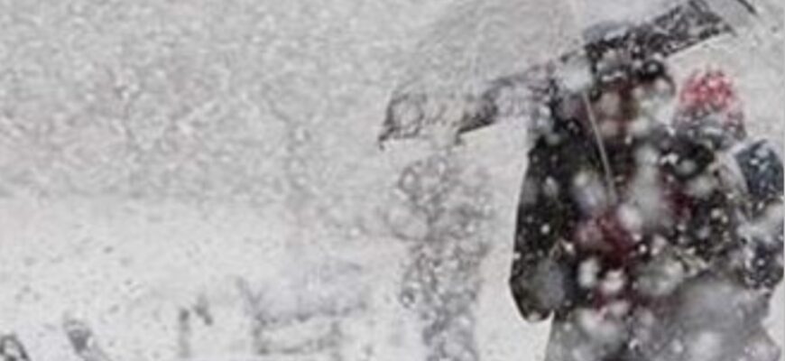 Весни не буде! Мороз та сніг замете Україну: названо дату👇👇 Весни не буде! Мороз та сніг замете Україну: названо дату👇👇