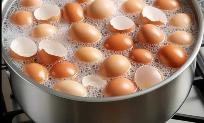 Більше не викидайте їх. Зваріть яєчну шкаралупу та попрощайтеся раз і назавжди з…