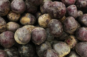 Скільки насправді варити буряк: секрет, який скорочує час до 20 хвилин