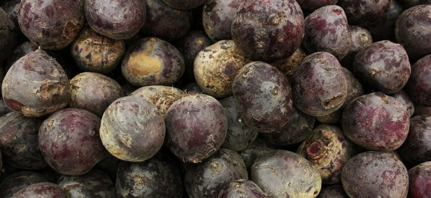 Скільки насправді варити буряк: секрет, який скорочує час до 20 хвилин