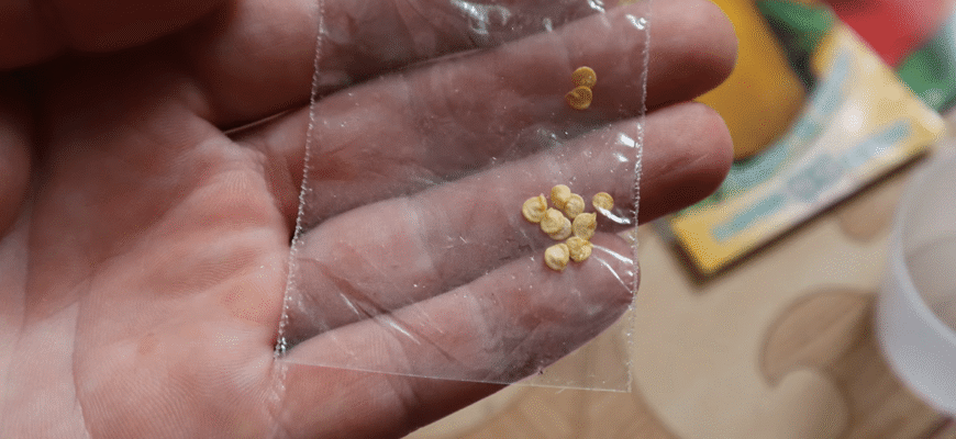 У березні роблю ТАК із перцем та томатами: через 3-4 місяці збираю врожай повними ящиками У березні роблю ТАК із перцем та томатами: через 3-4 місяці збираю врожай повними ящиками