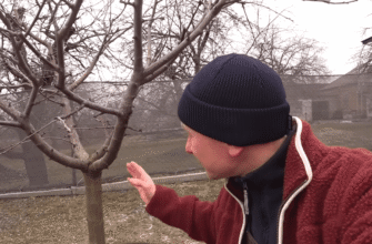 Це в 1000 разів крутіше за звичайну садову побілку: чим захистити сад ранньою весною 2026