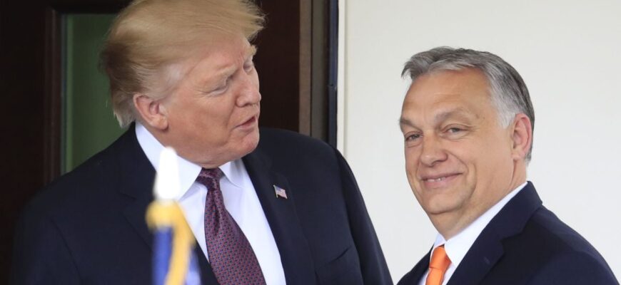 Трамп відкрито підтримав Орбана перед виборами в Угорщині: шокувальна заява Трамп відкрито підтримав Орбана перед виборами в Угорщині: шокувальна заява