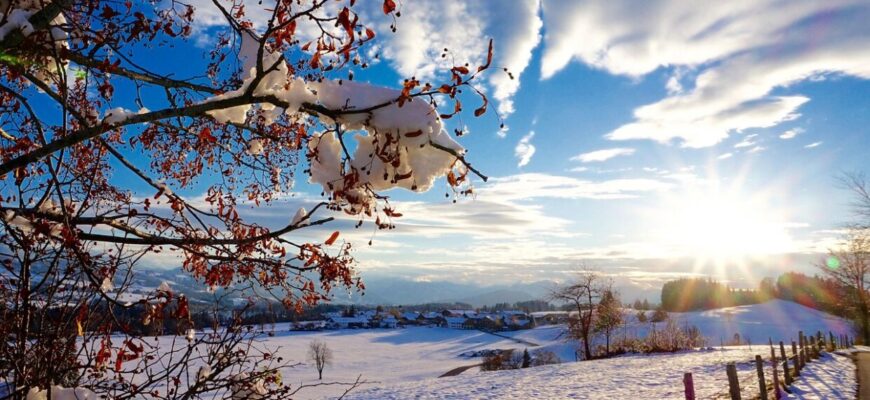 Як тільки зійде сніг і піде зайва вода: що робити з грядками у березні – ось перелік дій Як тільки зійде сніг і піде зайва вода: що робити з грядками у березні – ось перелік дій